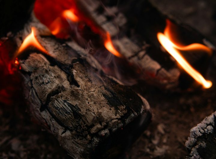 Вуглецевий цикл: як атоми переходять між атмосферою, океаном і живими організмами